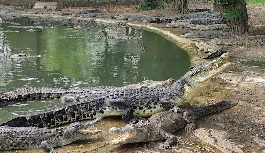 tempat wisata ramah anak di bekasi